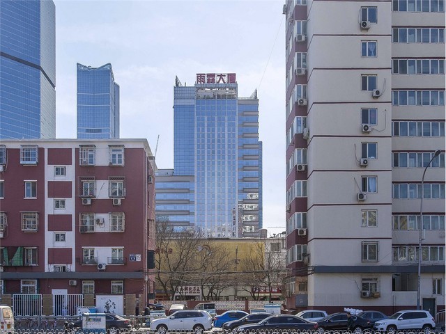 倚邦古树贡茶的特点和口感